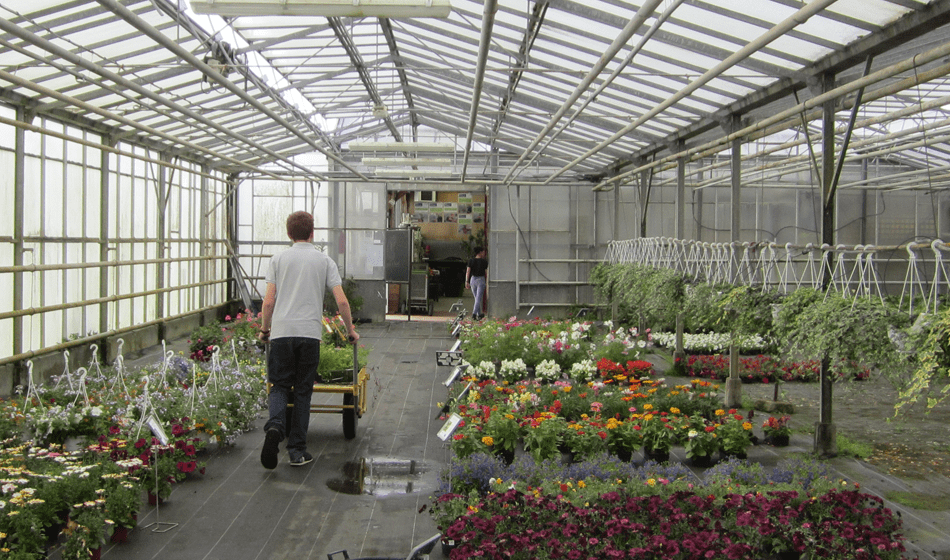 Jardinerie école Le Fresne