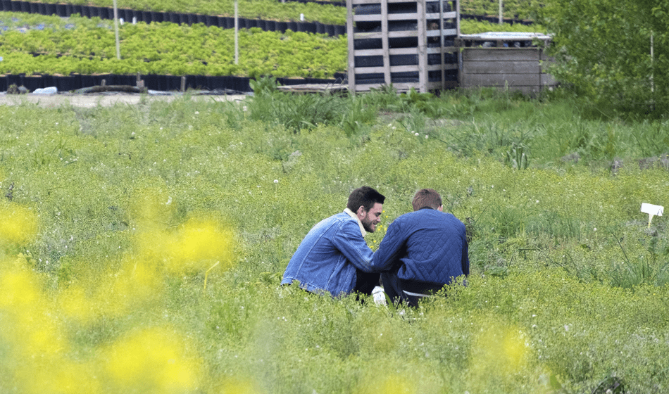 manager en paysage
