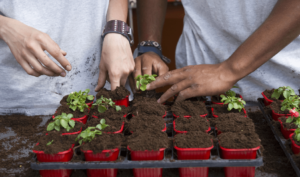 POEC agent horticole