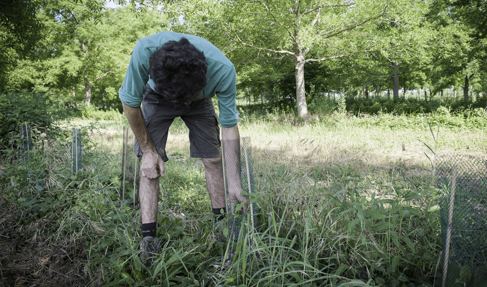 formation courte agroforesterie CFPPA de Segré BP REA